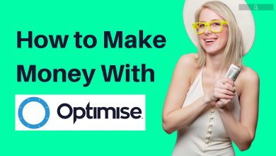 How to Make Money With Optimise