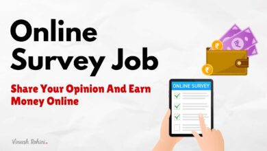 Online Survey Job