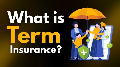 What is Term Insurance