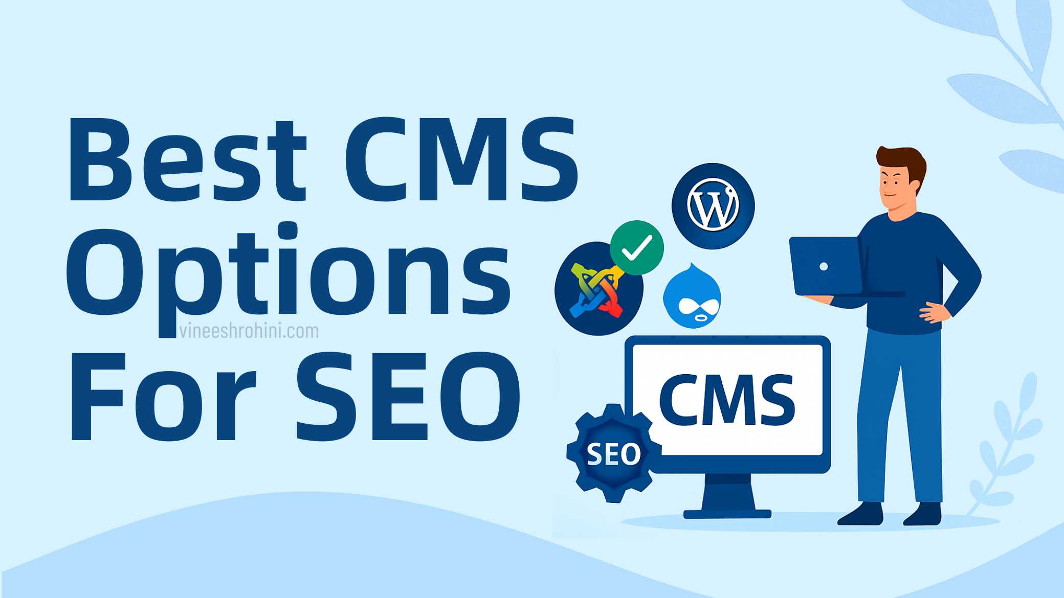 CMS Options for SEO