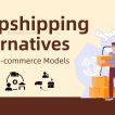 Dropshipping Alternatives