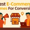 E-commerce Themes for Conversions