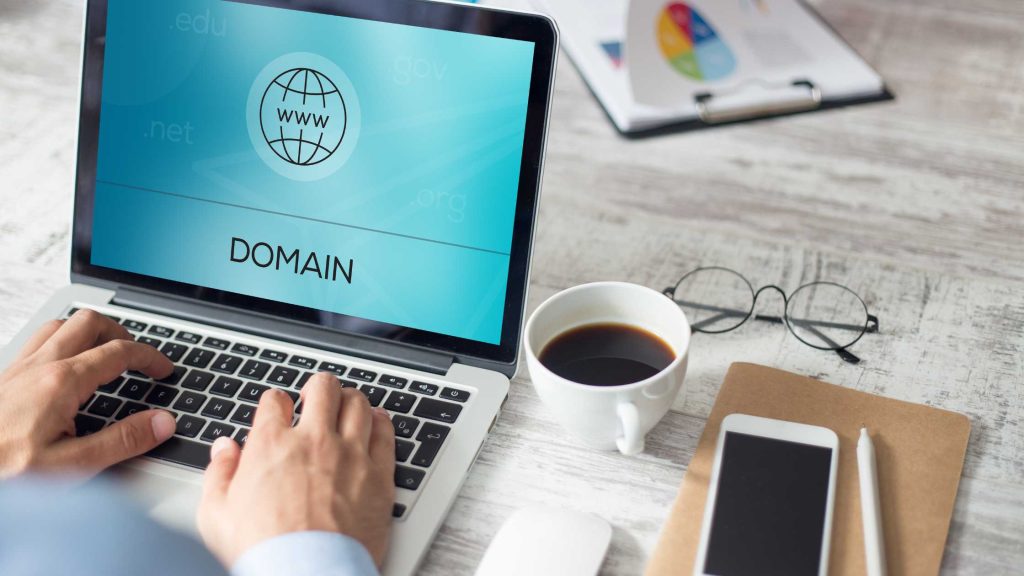 Domain Flipping Business