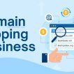 Domain Flipping Business